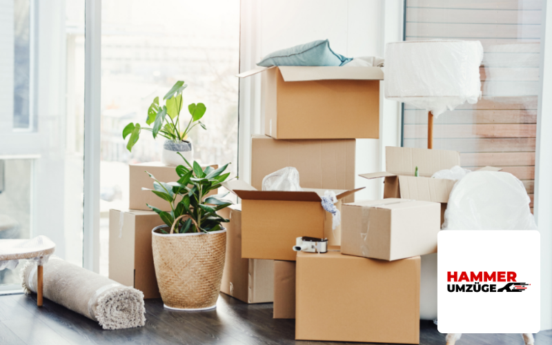 Webdesign Agentur Koeln Referenz Umzugsunternehmen